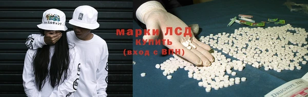 шишки Алзамай
