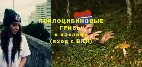 шишки Алзамай