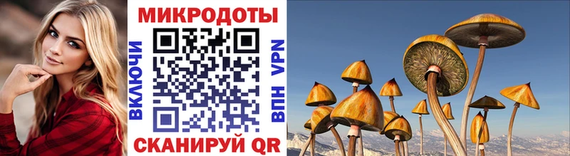 darknet формула  Билибино  Галлюциногенные грибы Psilocybine cubensis 